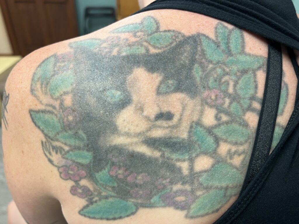 Tattoo cover up journey: Cats, lasers and a brand new tattoo 